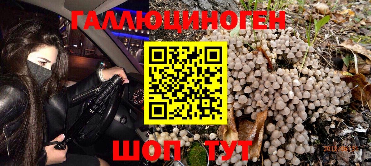 Мелеуз  Псилоцибиновые грибы Psilocybine cubensis  Вход с VPN 